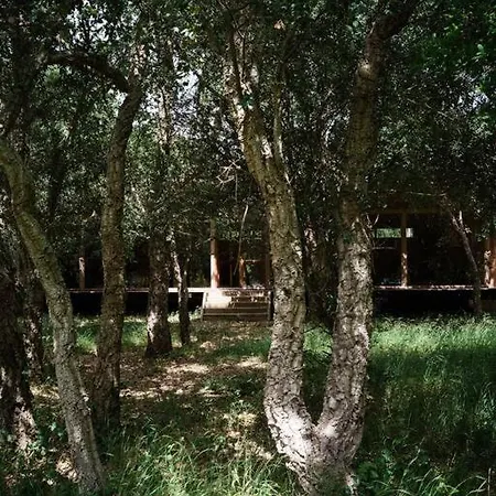 Essencia Aljezur